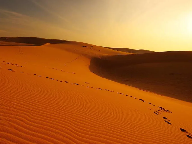 Wahiba Sands