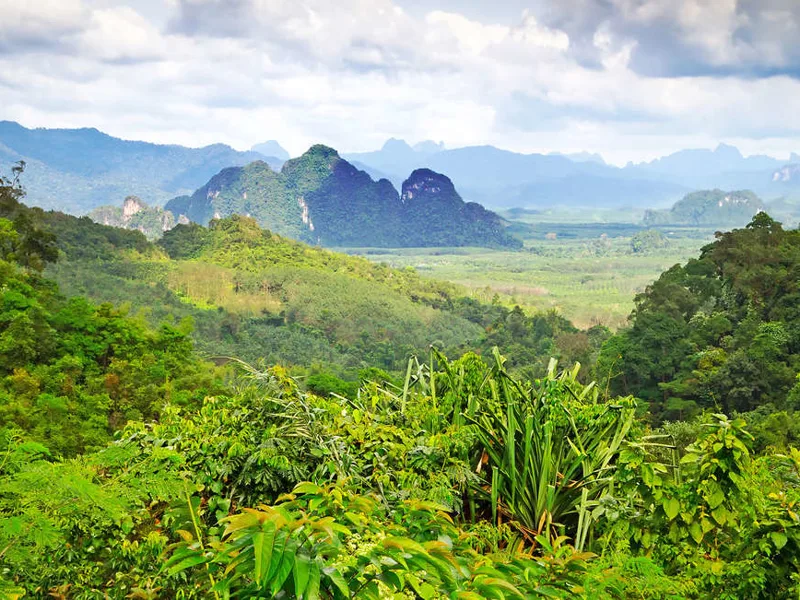 Northern Thailand landscape