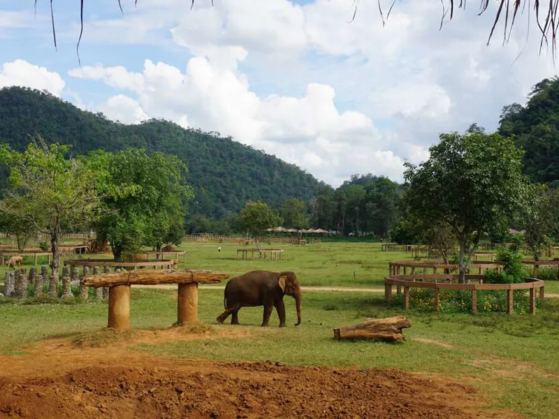 Elephant Nature Park - Photo taken by Jennifer Broh