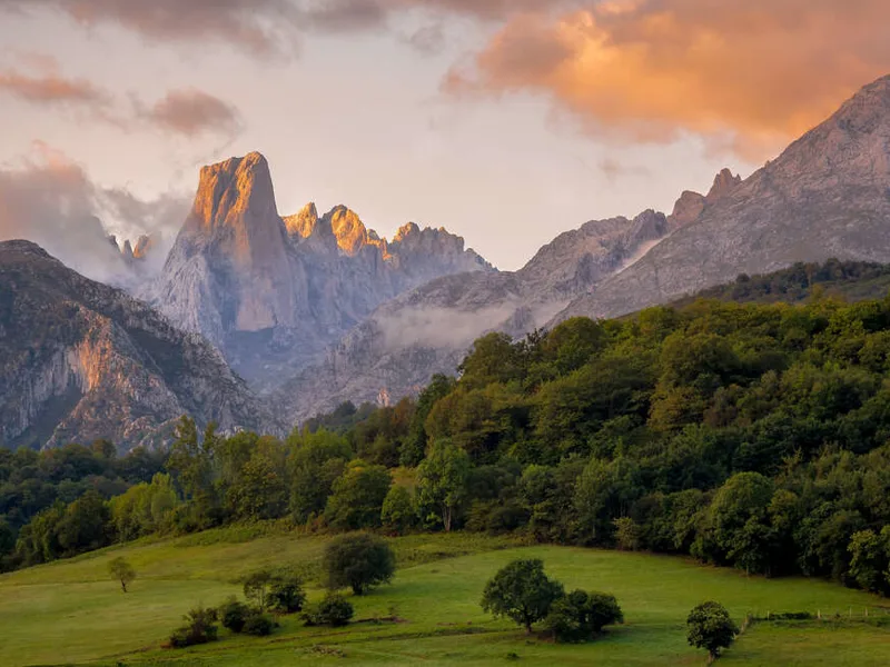 Naranjo de Bulnes