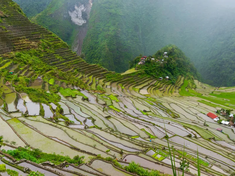 Batad rice terraces