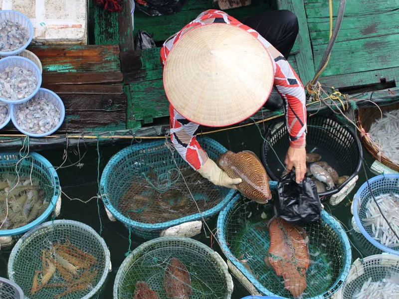 Ha Long bay fish market