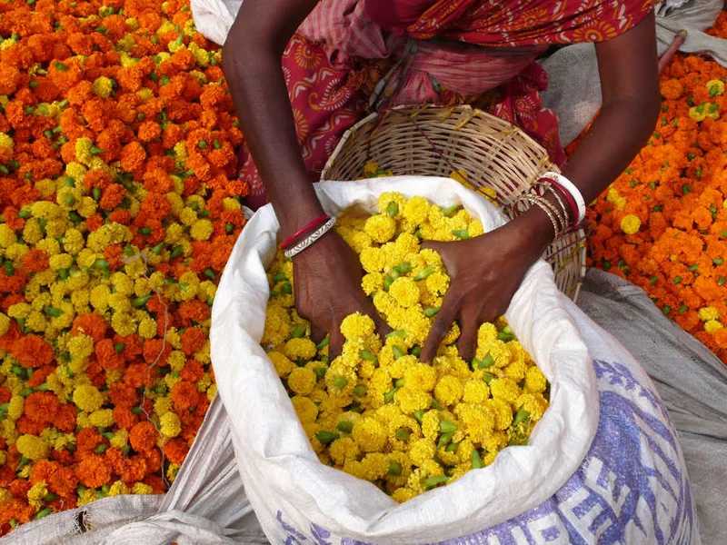 Flower seller in Kolkata