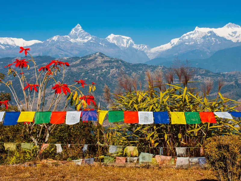 High Himalaya views