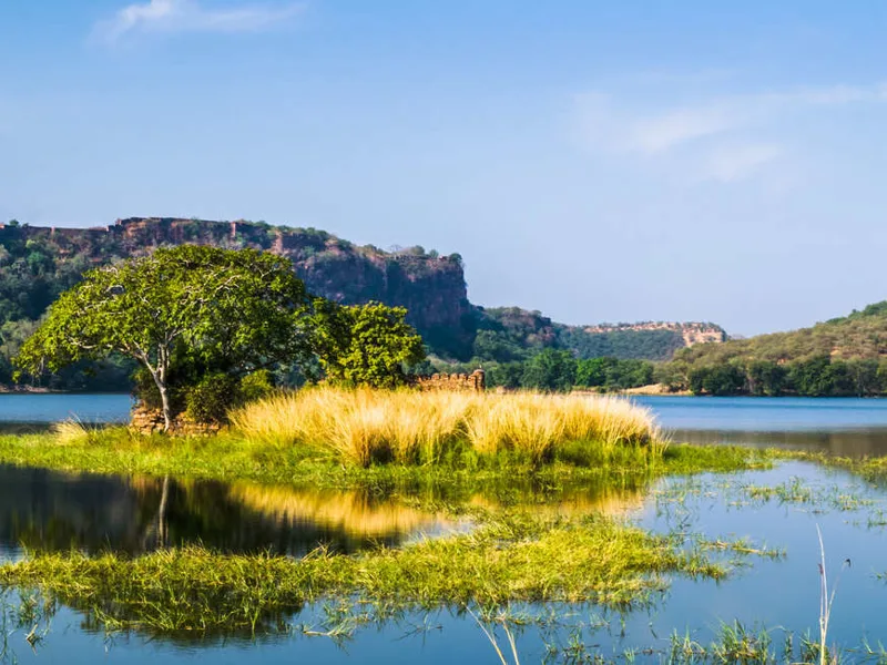 Lake in Ranthambore