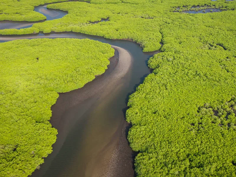 Saloum Delta National Park
