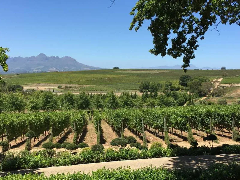 Stellenbosch