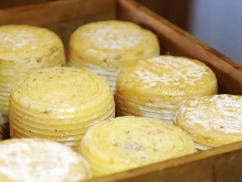 Traditional goat cheese produced in the mountains