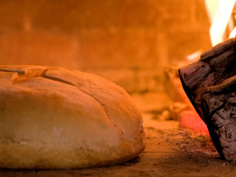 Baking Altamura D.O.P. bread