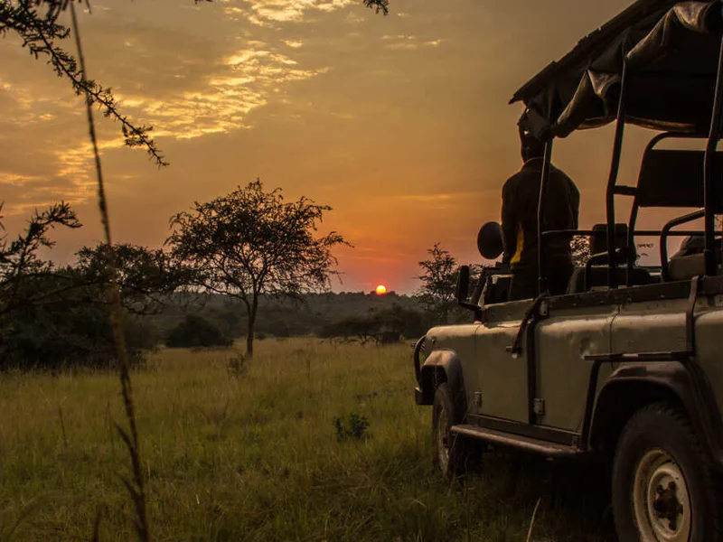 Night time game drive, Lake Mburo