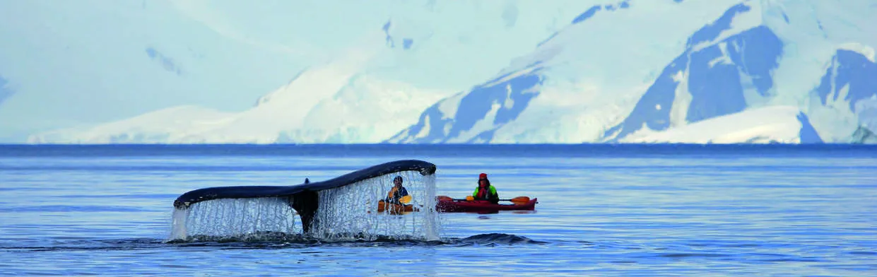 Kayaking in Antarctica
