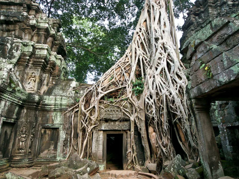 Ta Phrom, Cambodia