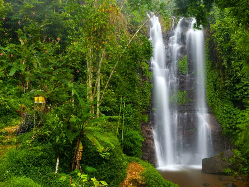 Waterfall in Munduk