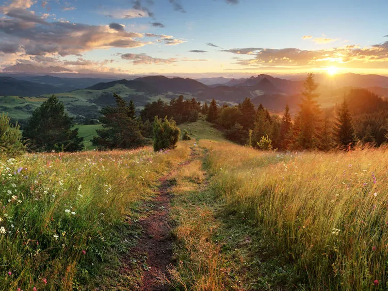 Beautiful summer landscape in the Tatra Mountains