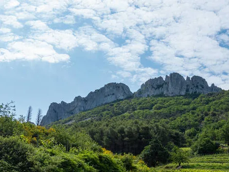 Les Dentelles de Montmirail