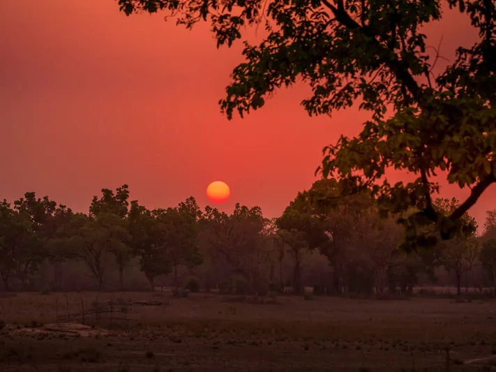 Sunset in Kanha National Park