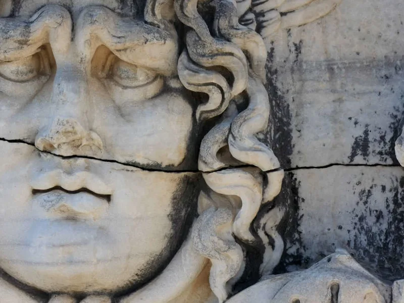 Medusa's head