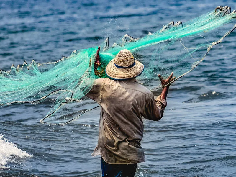 Fisherman, Kochi