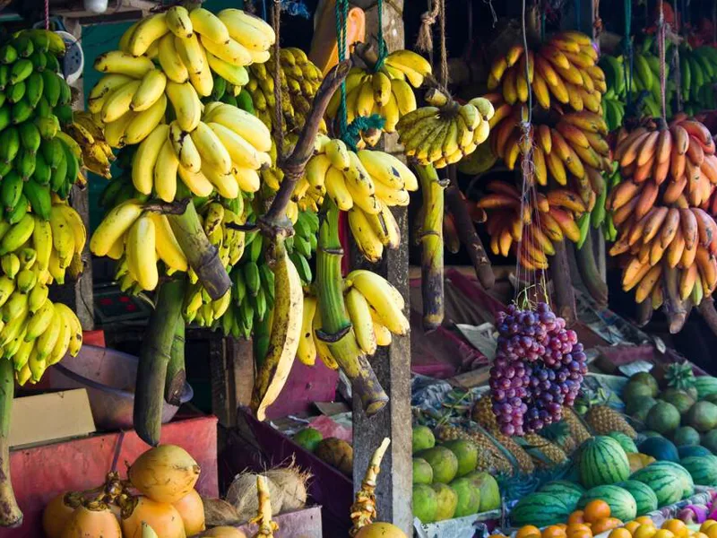 Tropical fruits