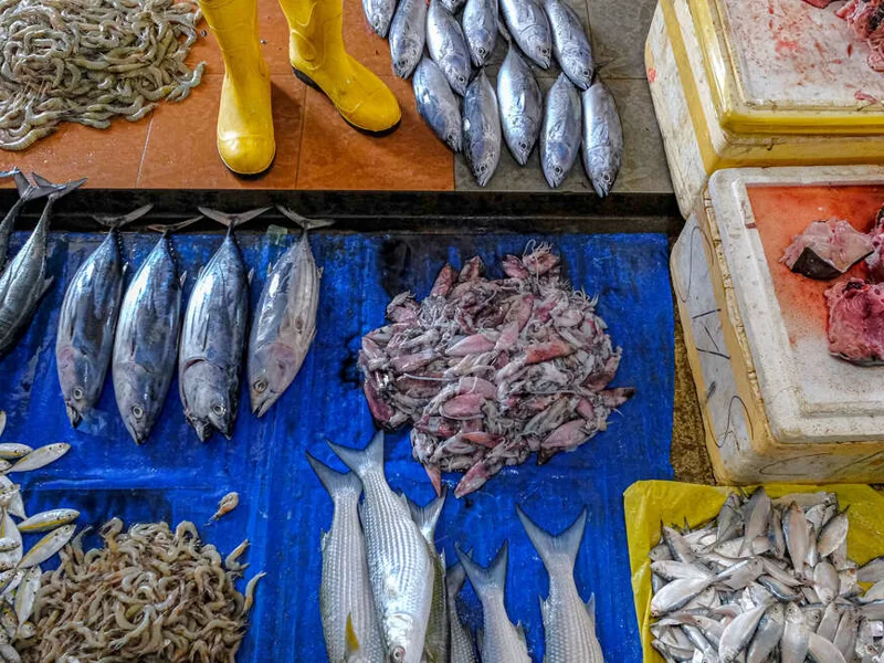 Trincomalee catch