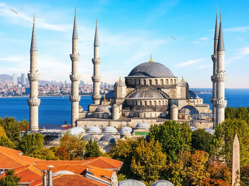 Istanbul City Scape