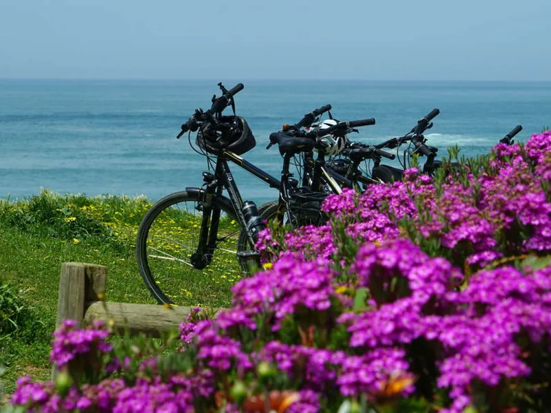 The bikes