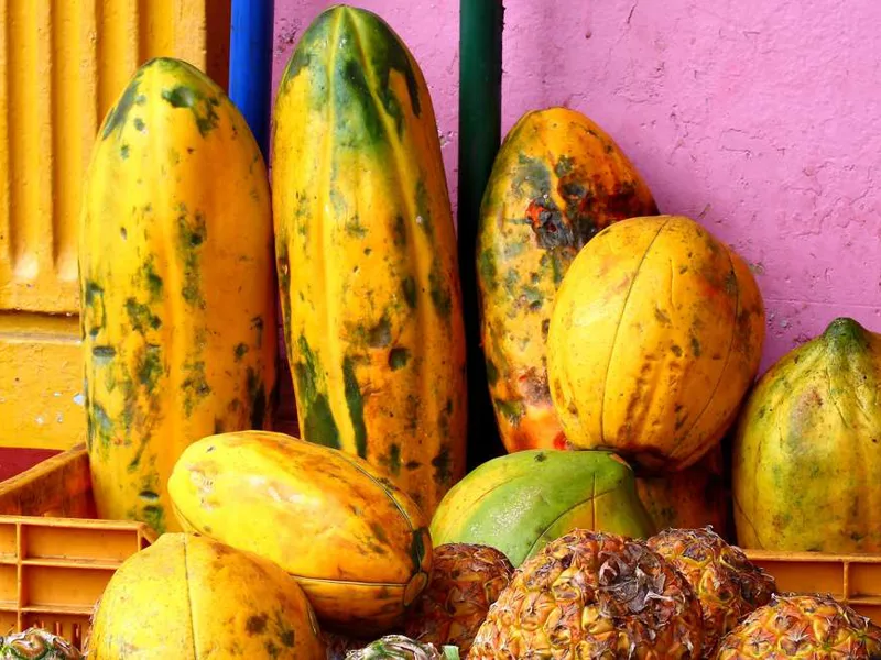 Fresh fruit nicaragua