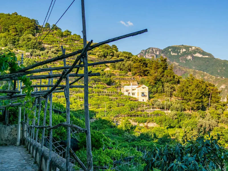 Amalfi coastal paths