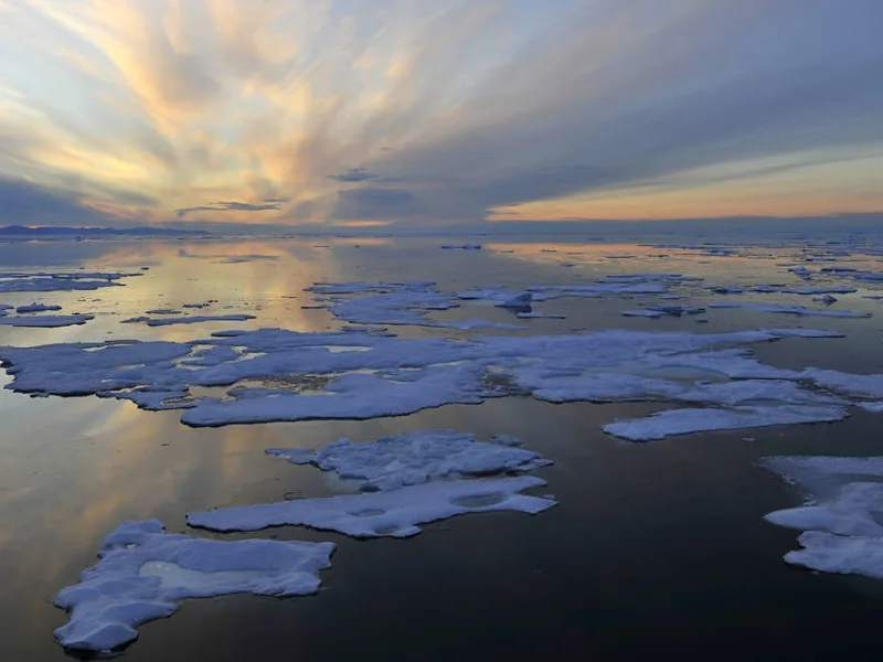 Arctic sea ice
