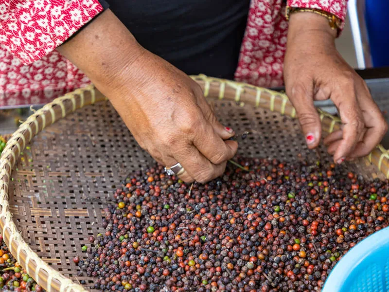 Kampot pepper
