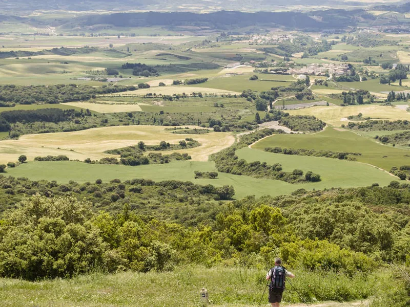Camino de Santiago