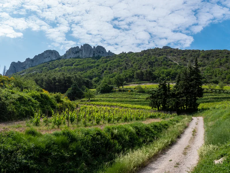 Dentelles de Montmirail in Provence