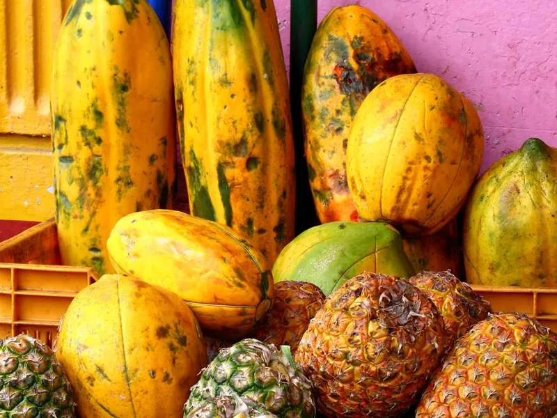 Fresh fruit