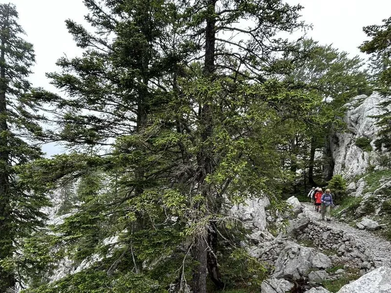 Baske Ostarije to Karlobag Hike