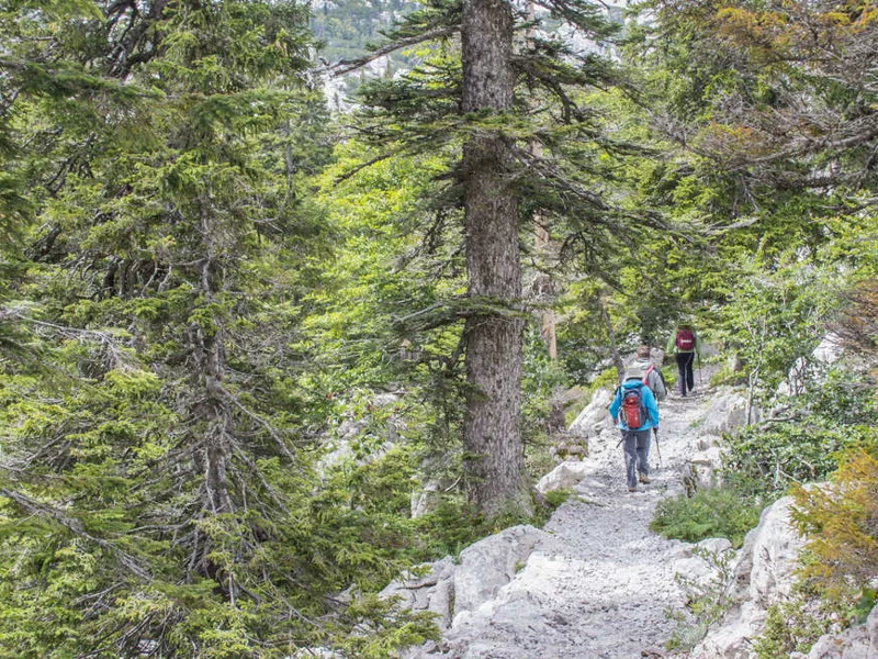 Hiking through the forest, Paklenica