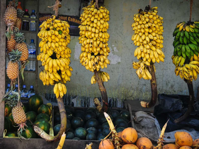 Fresh fruit