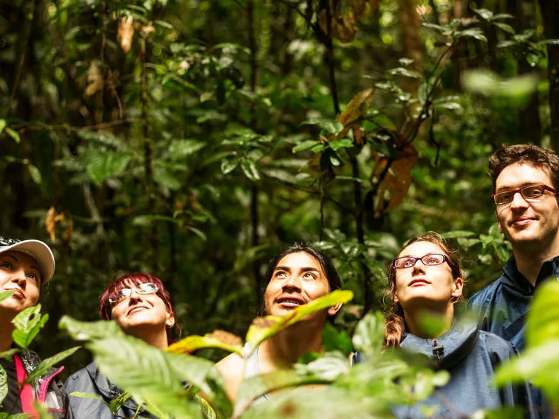 Exploring the jungle