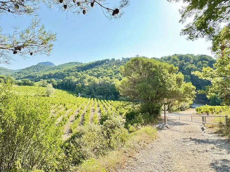 View of the Dentelles de Montmirail, located in the French department of Vaucluse, during a summer hike;