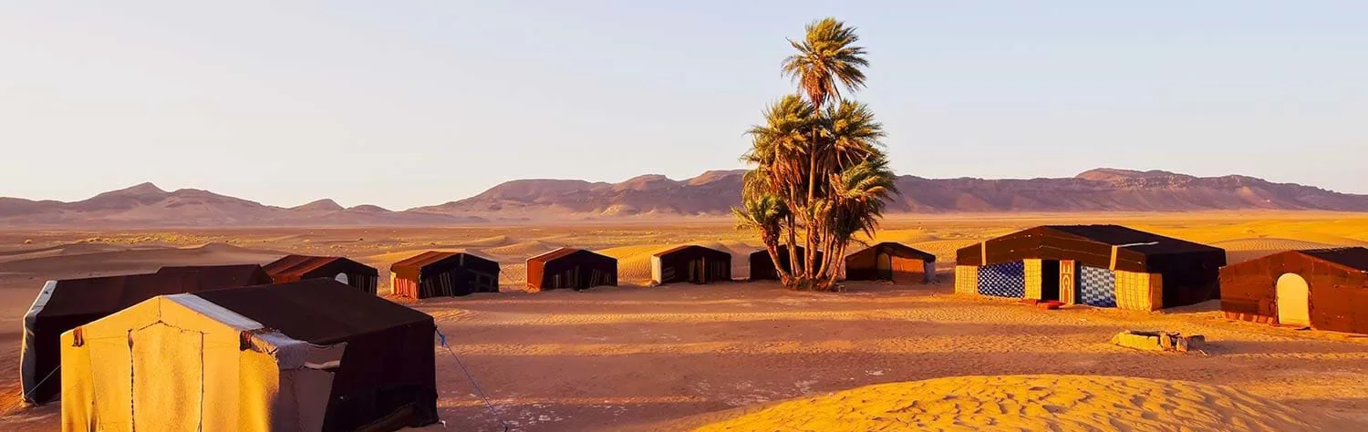 desert-camp[1]