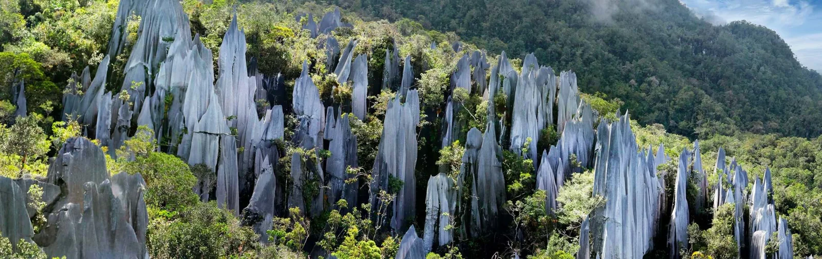 mulu-national-park-pinnacles[1]