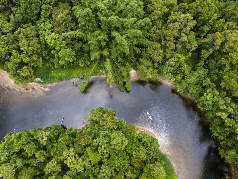 The Amazon River