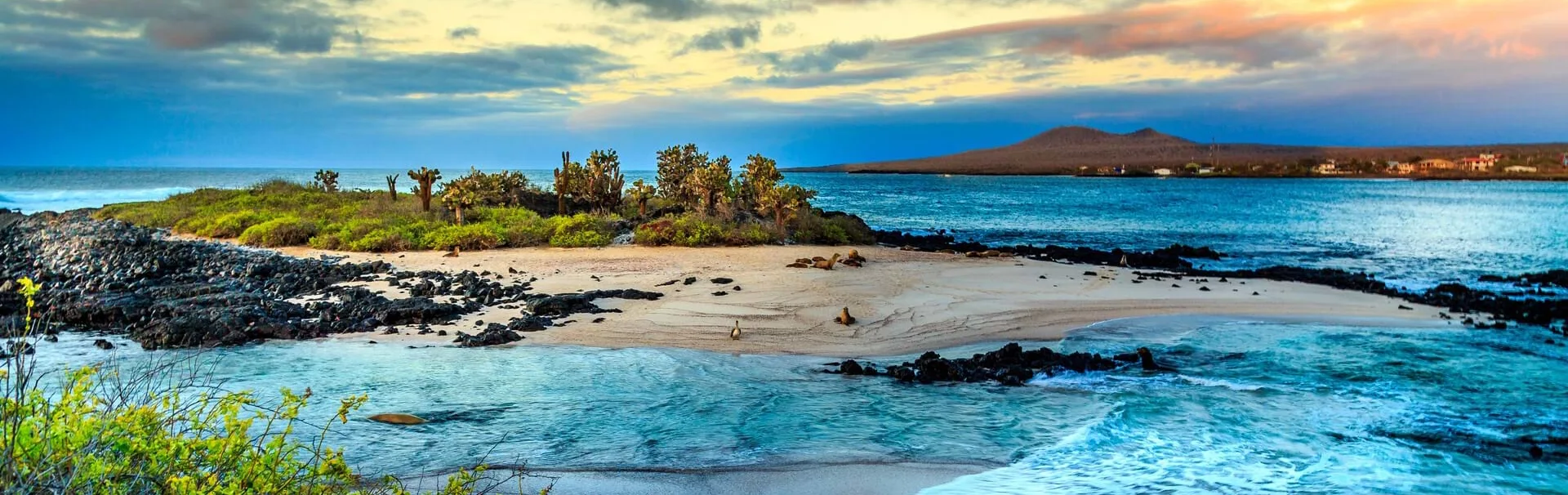 galapagos-shutterstock_263605307[1]