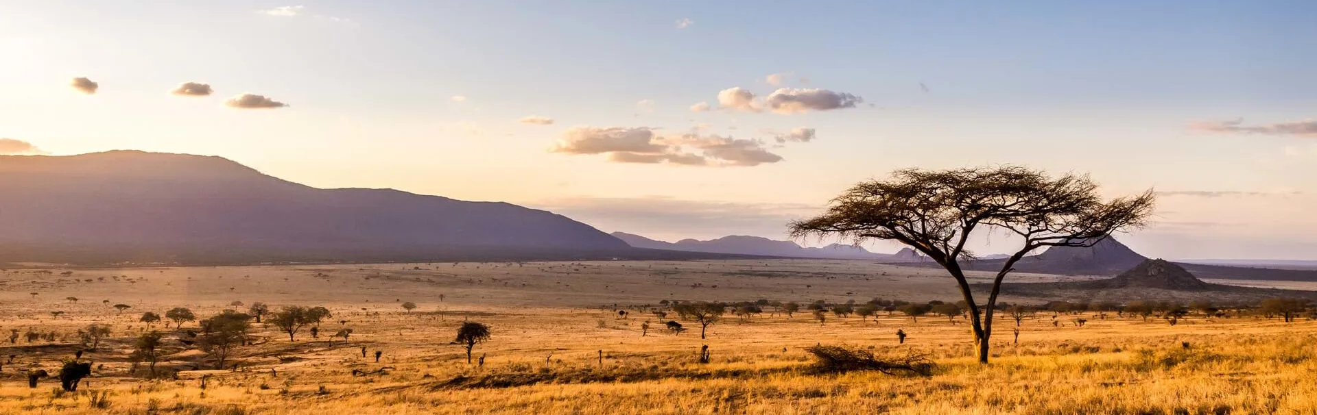 kenya-wildlife[1]