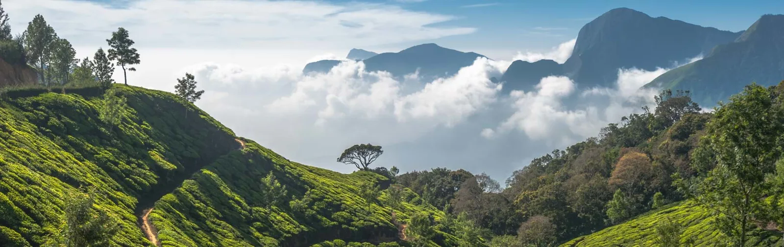 western-ghat-header[1]