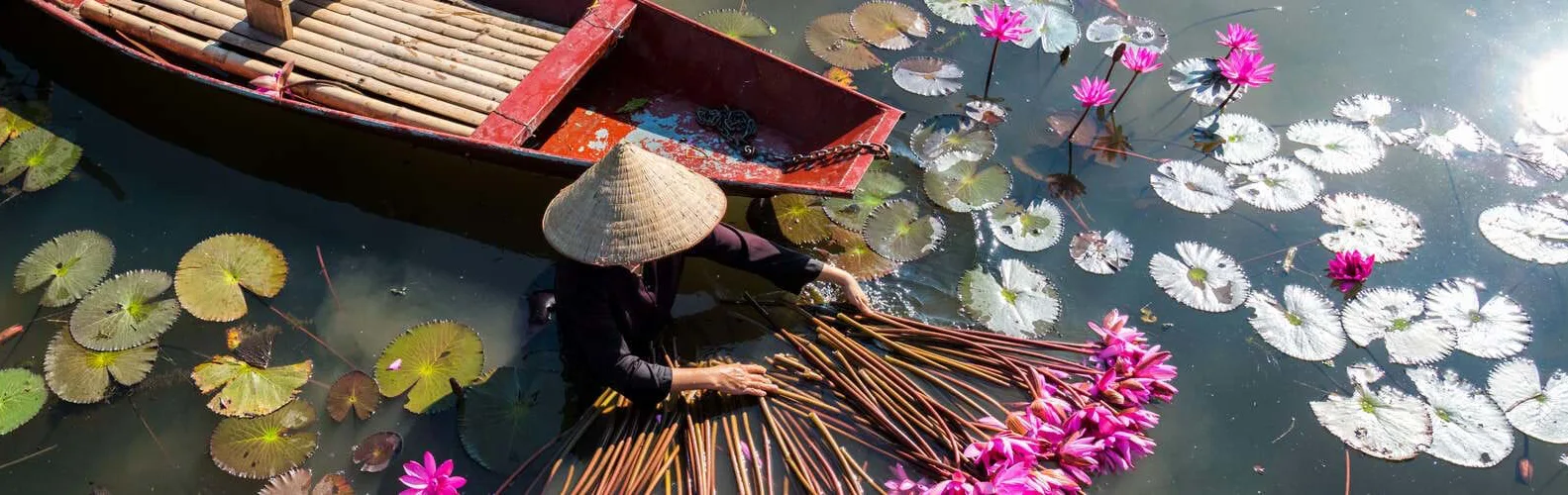 yen-river-with-rowing-boat-harvesting-waterlily-in-ninh-binh_-vietnam[1]
